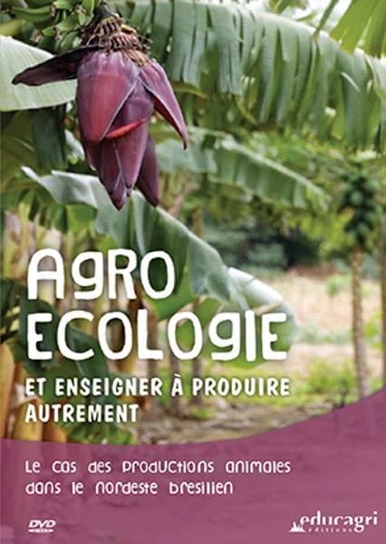 Agroécologie ; et enseigner à produire autrement ; le cas des productions animales dans le nordeste brésilien