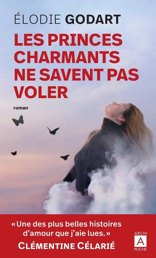 Les princes charmants ne savent pas voler : roman