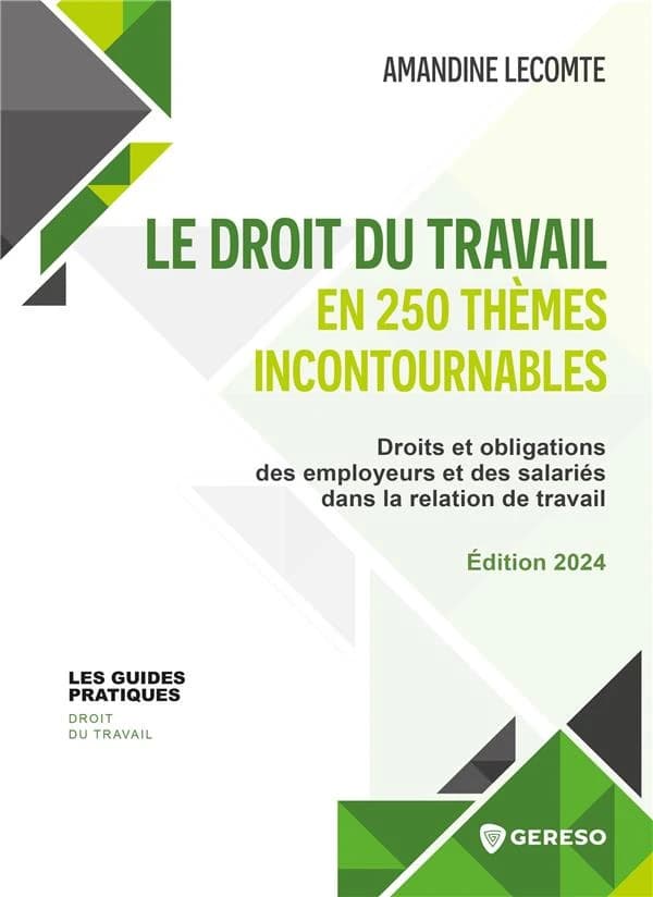 Le droit du travail en 250 thèmes incontournables : droit et obligations des employeurs et des salariés dans la relation de travail