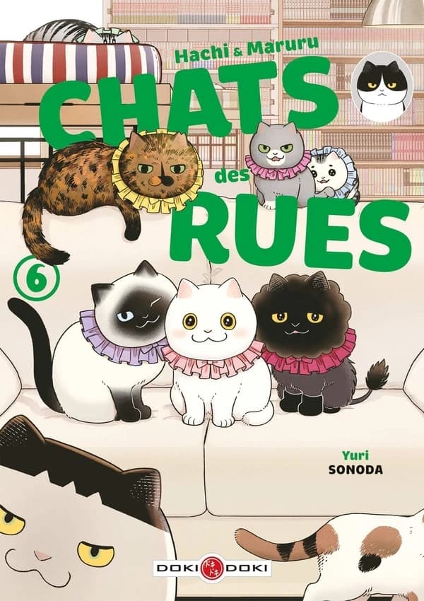 Chats des rues : Hachi & Maruru. 6