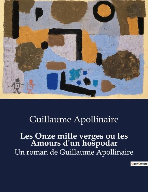 Les Onze mille verges ou les Amours d'un hospodar : Un roman de Guillaume Apollinaire