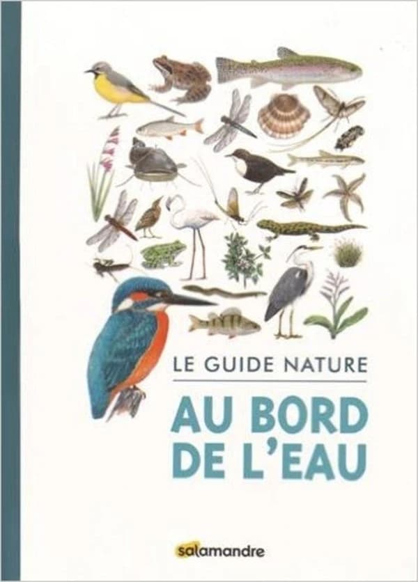 Au bord de l'eau