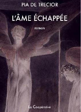 L'âme échappée : roman