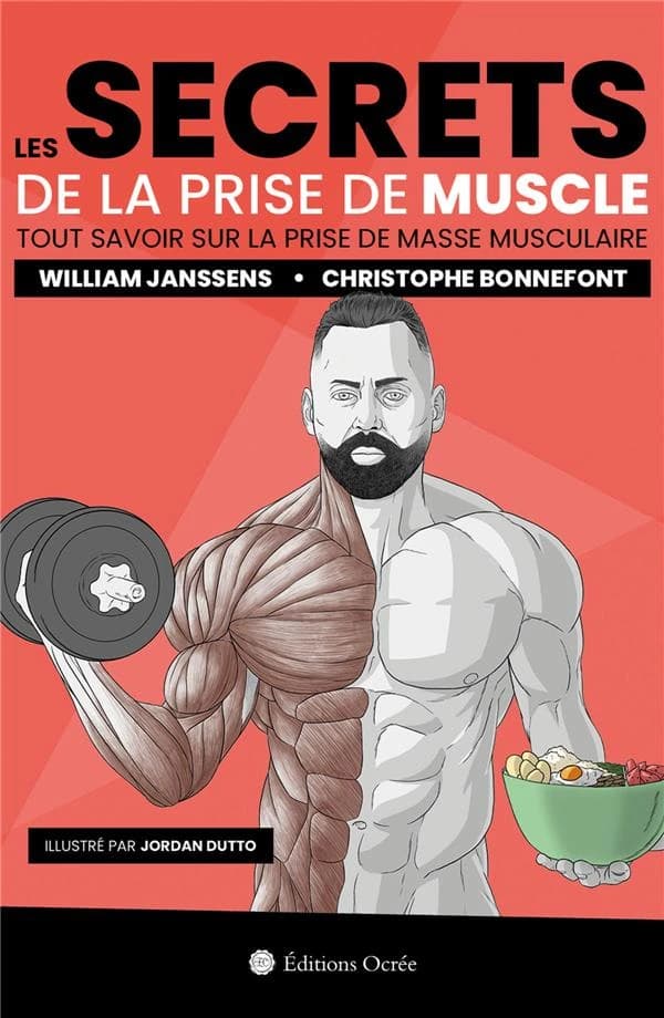 Les secrets de la prise de muscle : tout savoir sur la prise de masse musculaire