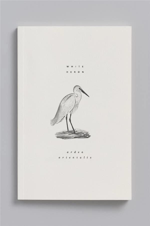 Carnet animal aquatique ; aigrette garzette