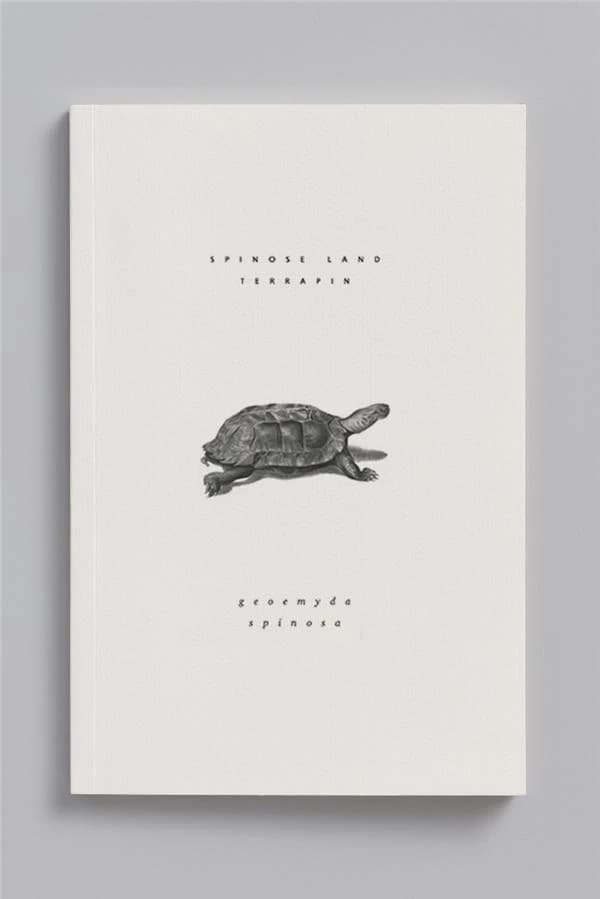 Carnet animal aquatique ; heosemyde epineuse
