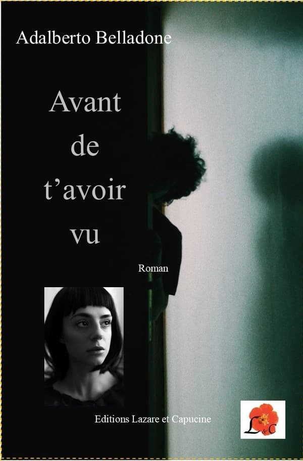 Avant de t'avoir vu : roman