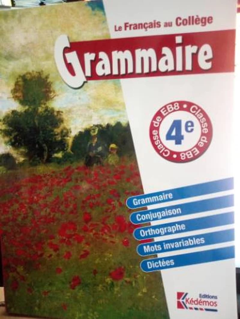 LE FRANCAIS AU COLLEGE GRAMMAIRE 4E